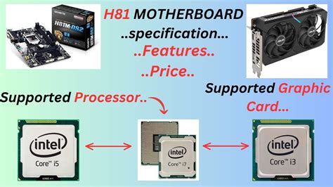 h81 support processor